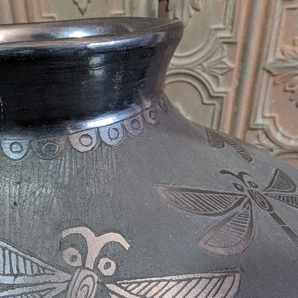 Top Detailed View Handmade Dragonfly Graphite Black Sphere Vase by Mata Ortiz artist Ana Trillo