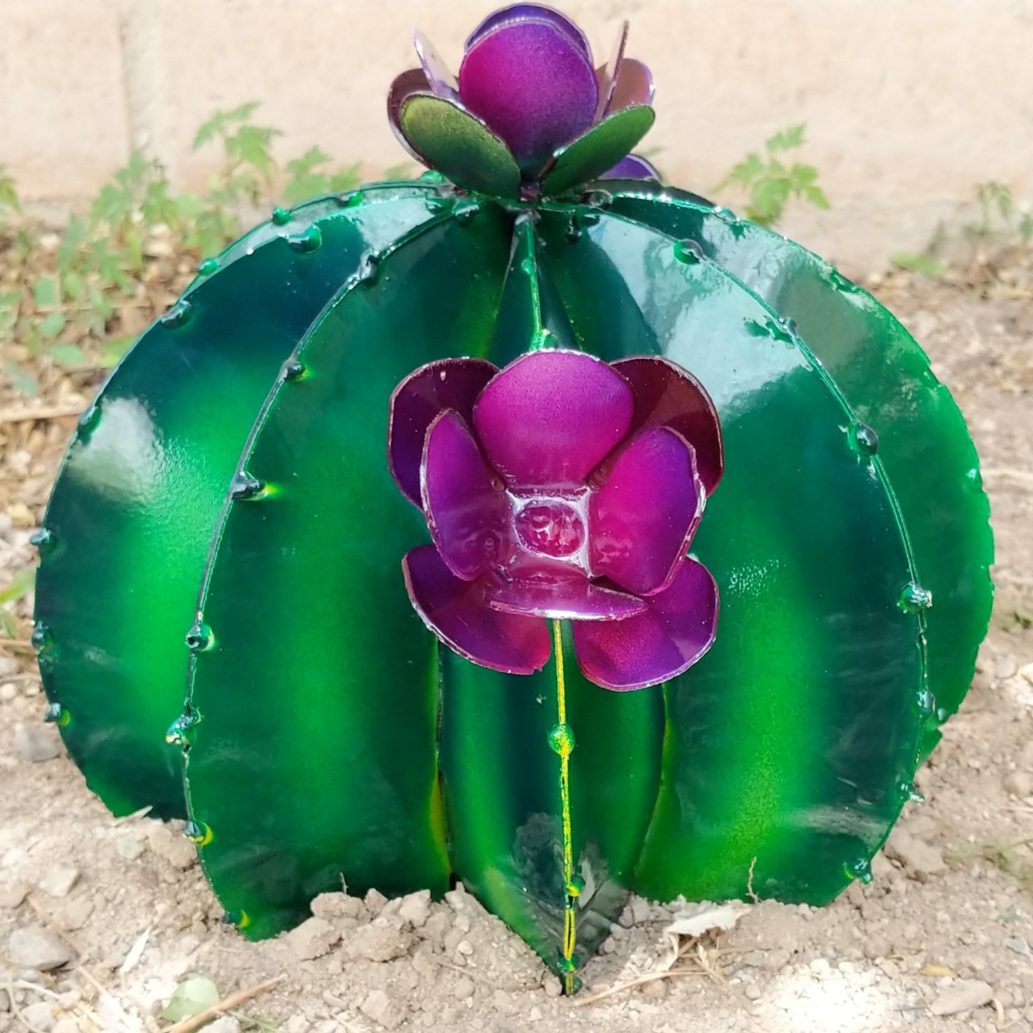 Close-up shows the textured green segments and rich purple flower accents.