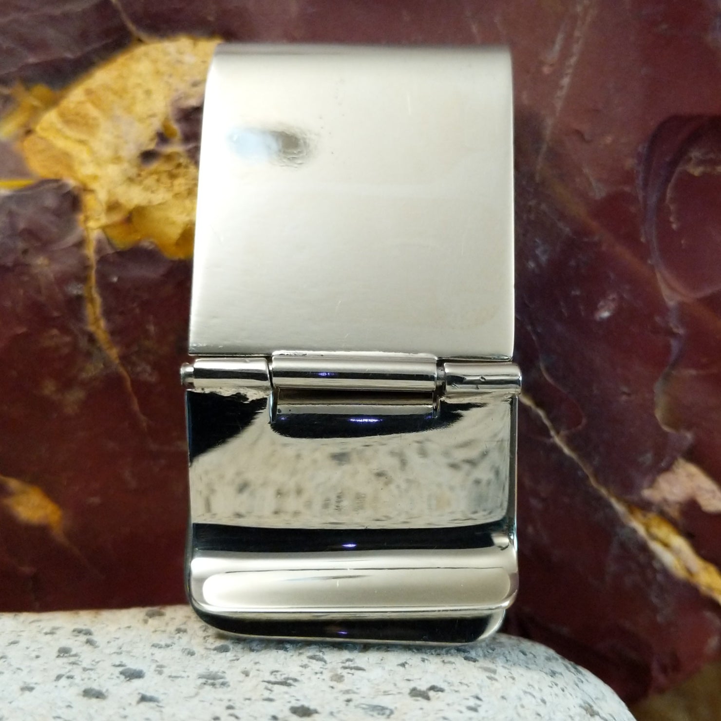 Smooth stainless steel backing with hinge clip.