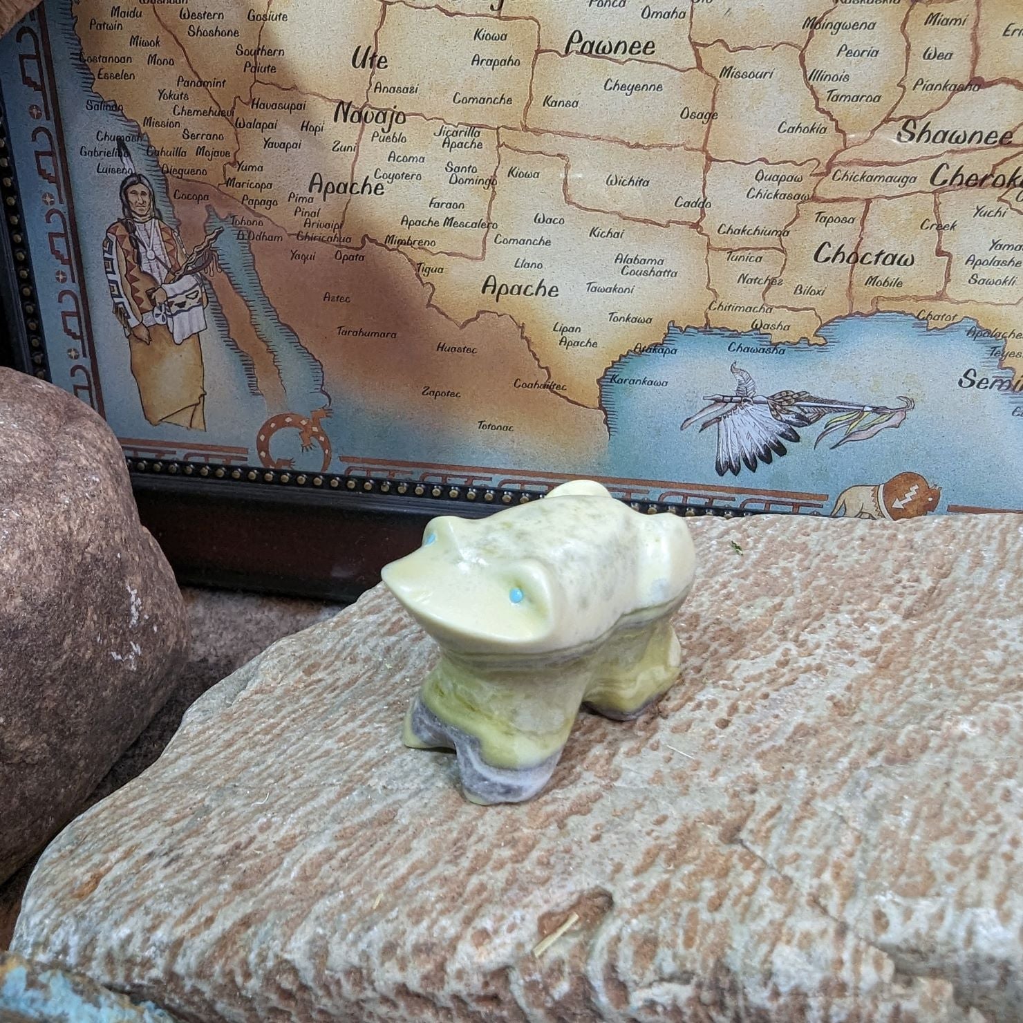 Left Side View Toad