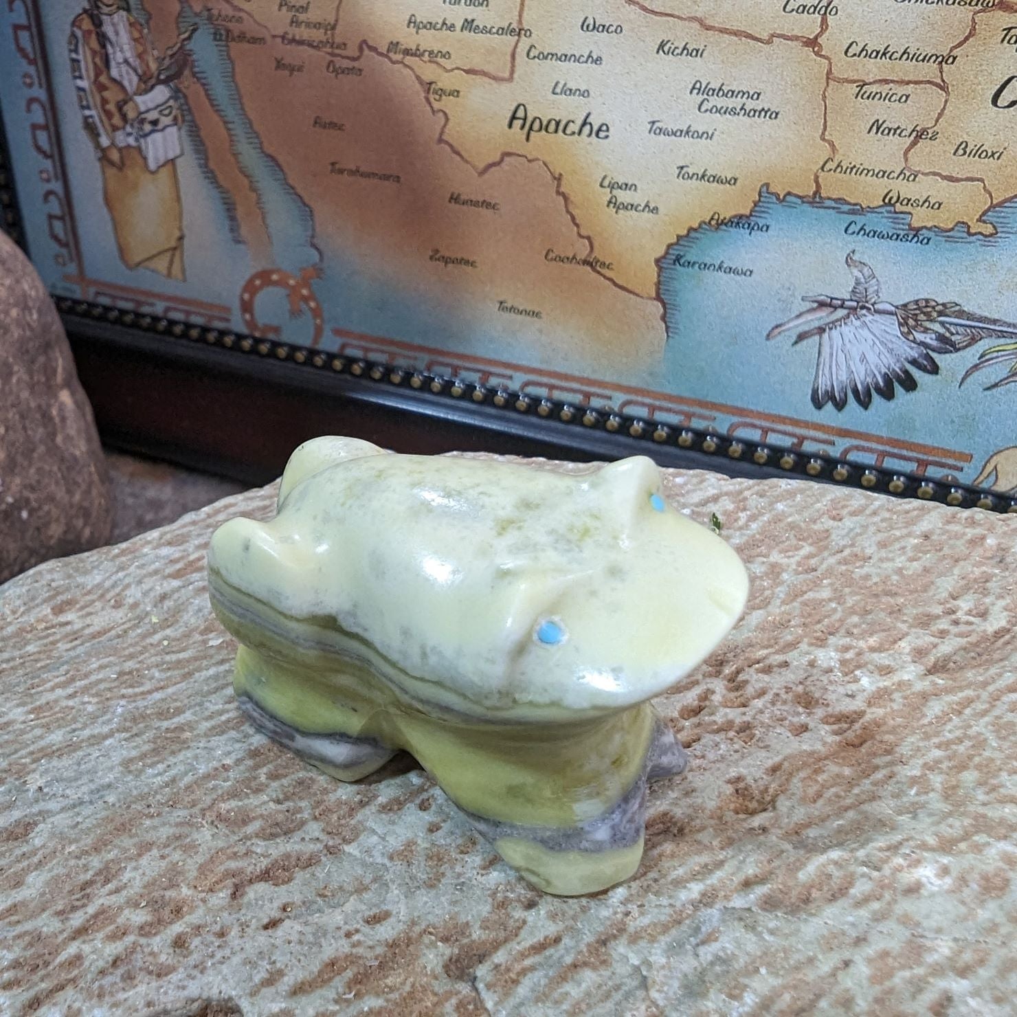 Right Side View Toad