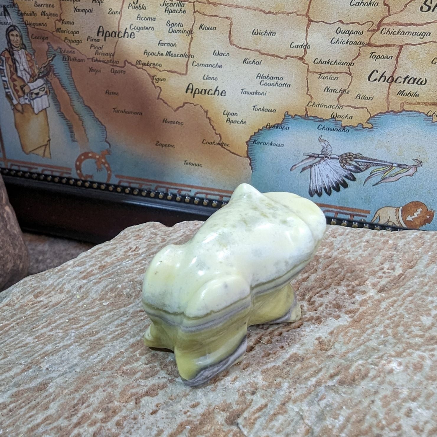 Back View Toad