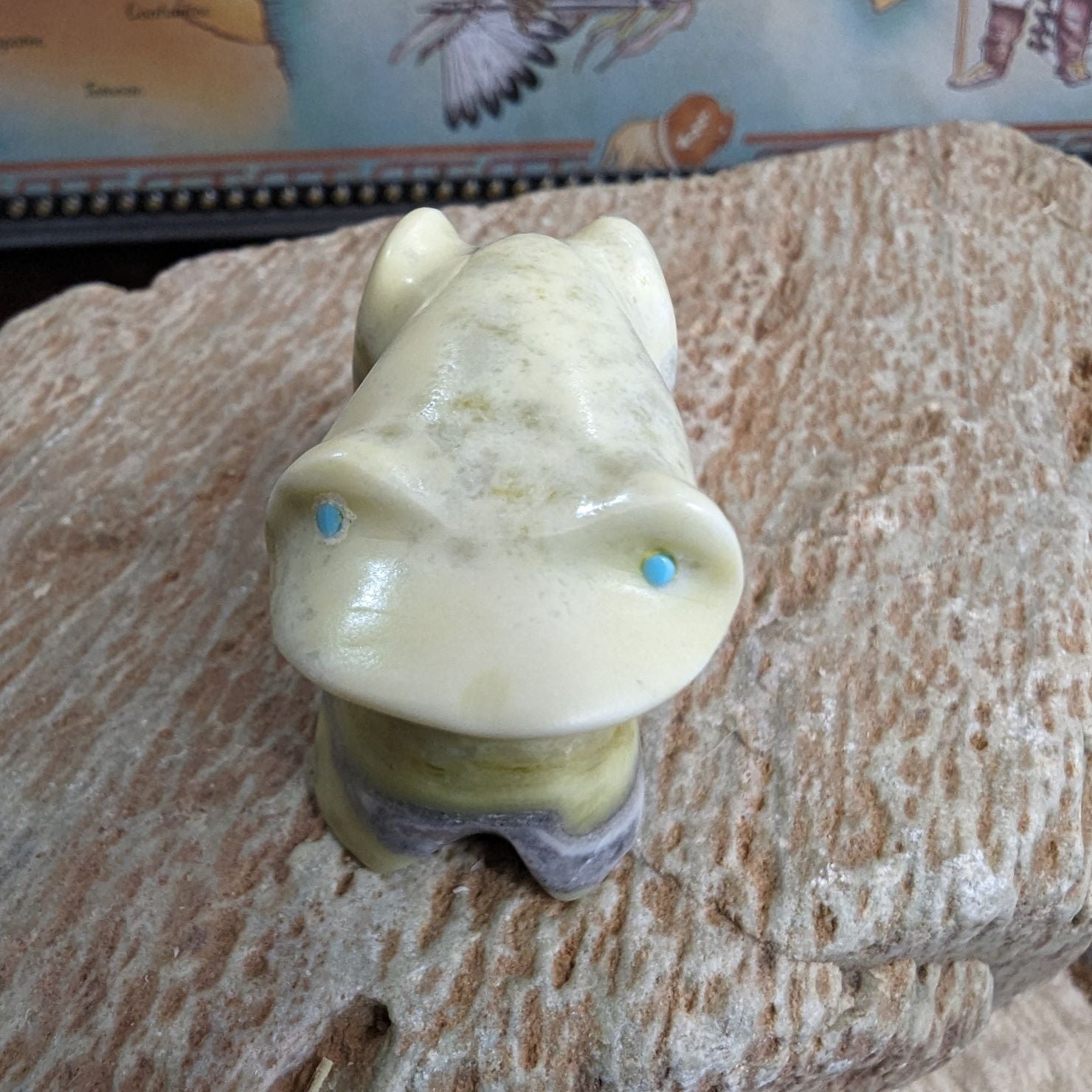 Front View Toad