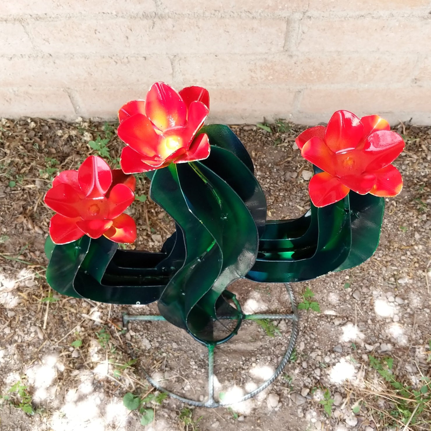 Detailed view of the orangey-red flowers atop the cactus.