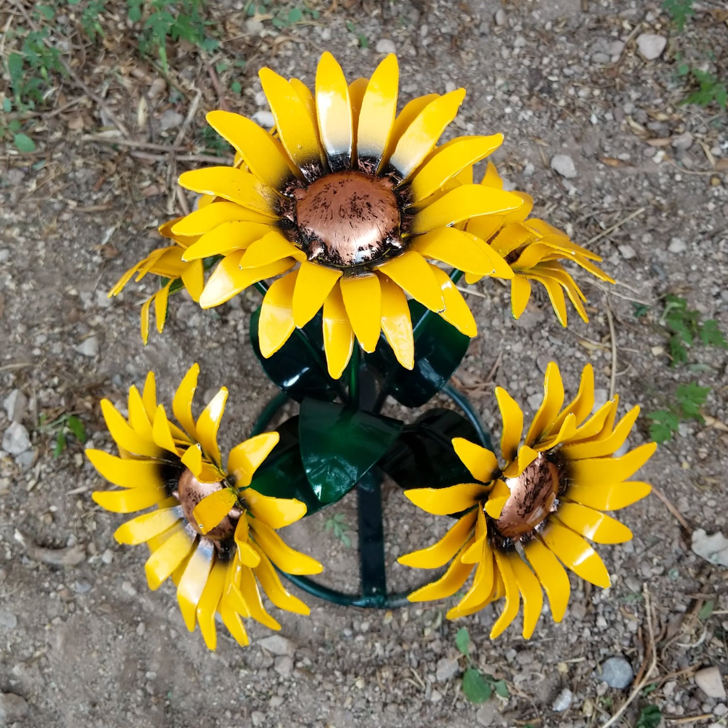 Close-up highlights the textured yellow petals and copper center.