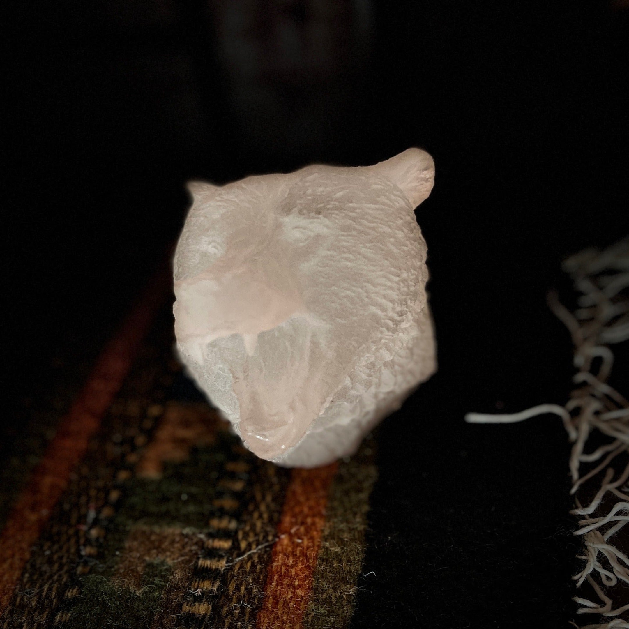 "Savage Spirit" by Kitty Cantrell Face View