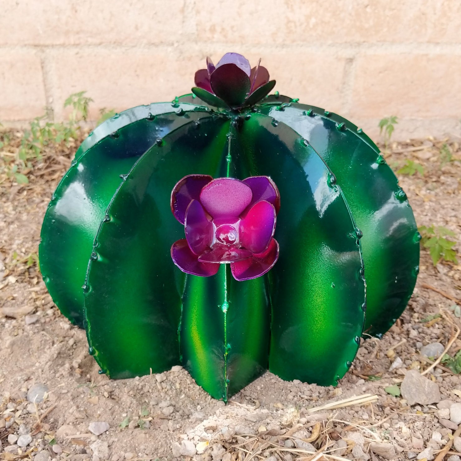 Close-up highlights the glossy green segments and vivid purple flower petals.