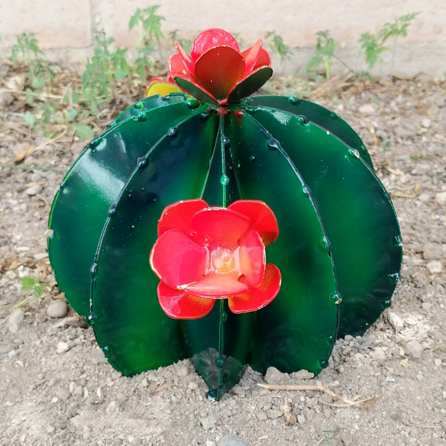 Close-up emphasizes the glossy green body and vibrant orange flower.