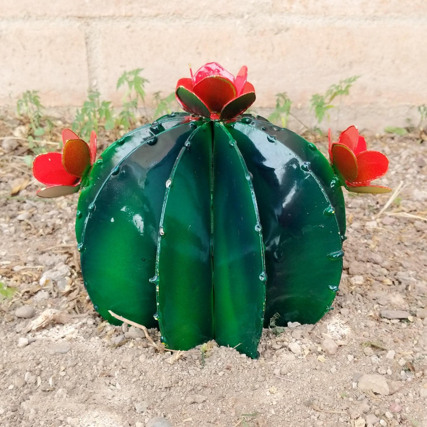 A small green metal barrel cactus with a bright orange flower.