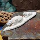 Zuni bear cub fetish carving by Adrian Cachini featuring two white stone bears with turquoise inlaid eyes resting on a carved base.