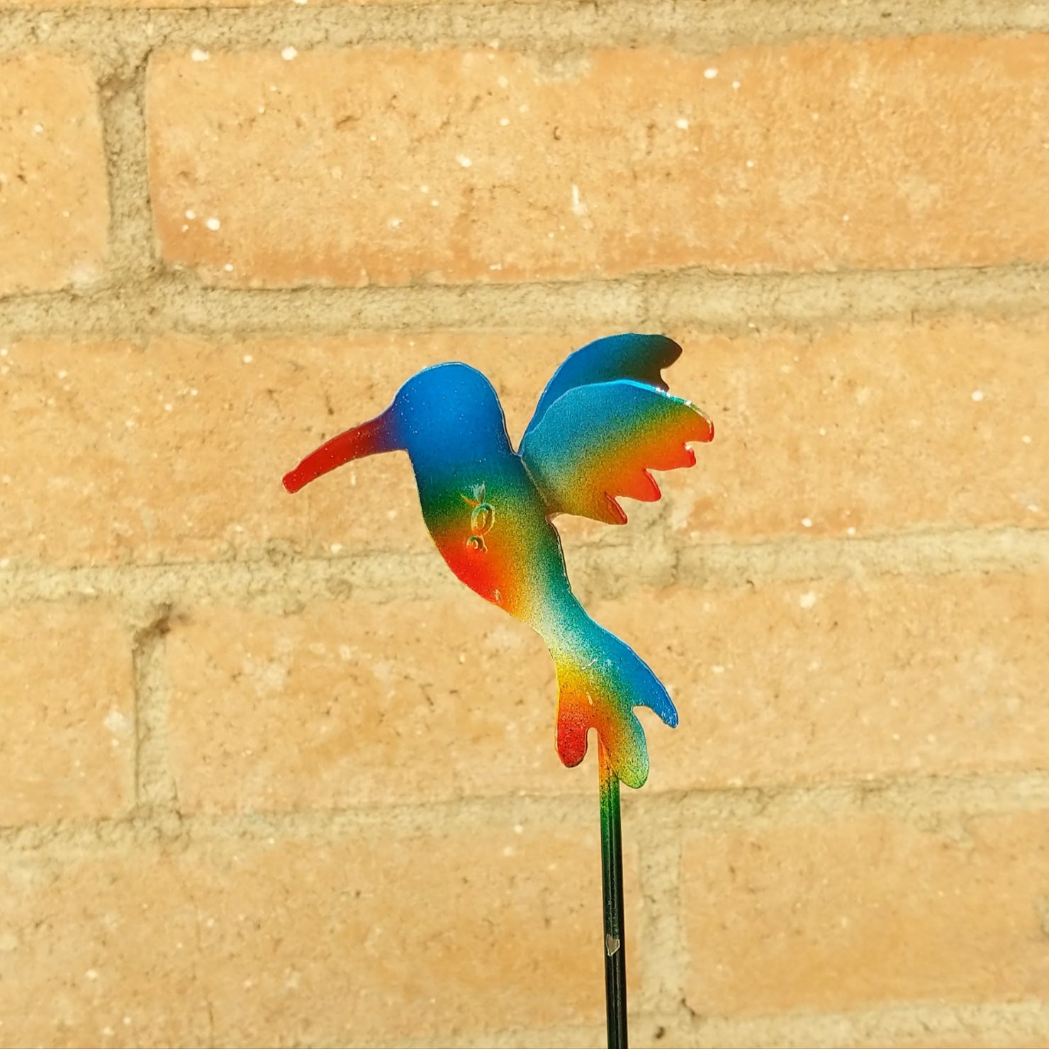 Hummingbird featuring its multicolor finish.