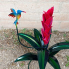 Small magenta flower showcases its petals and multicolor hummingbird.