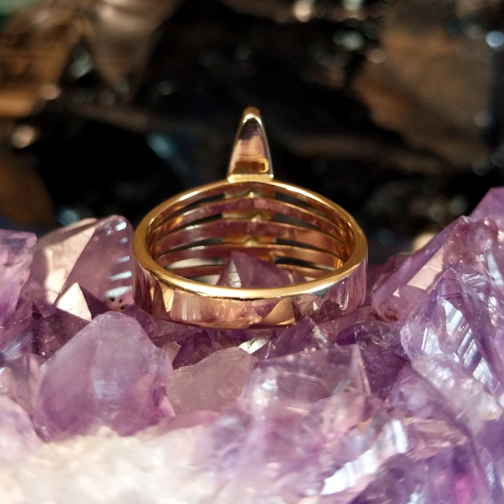 The polished gold multiband of the ring.