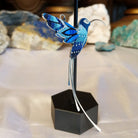 Sterling silver hummingbird pendant with blue Austrian crystals.