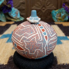 Round lidded Mata Ortiz pottery vessel featuring a dragonfly design in blue and clay tones with etched geometric background patterns.
