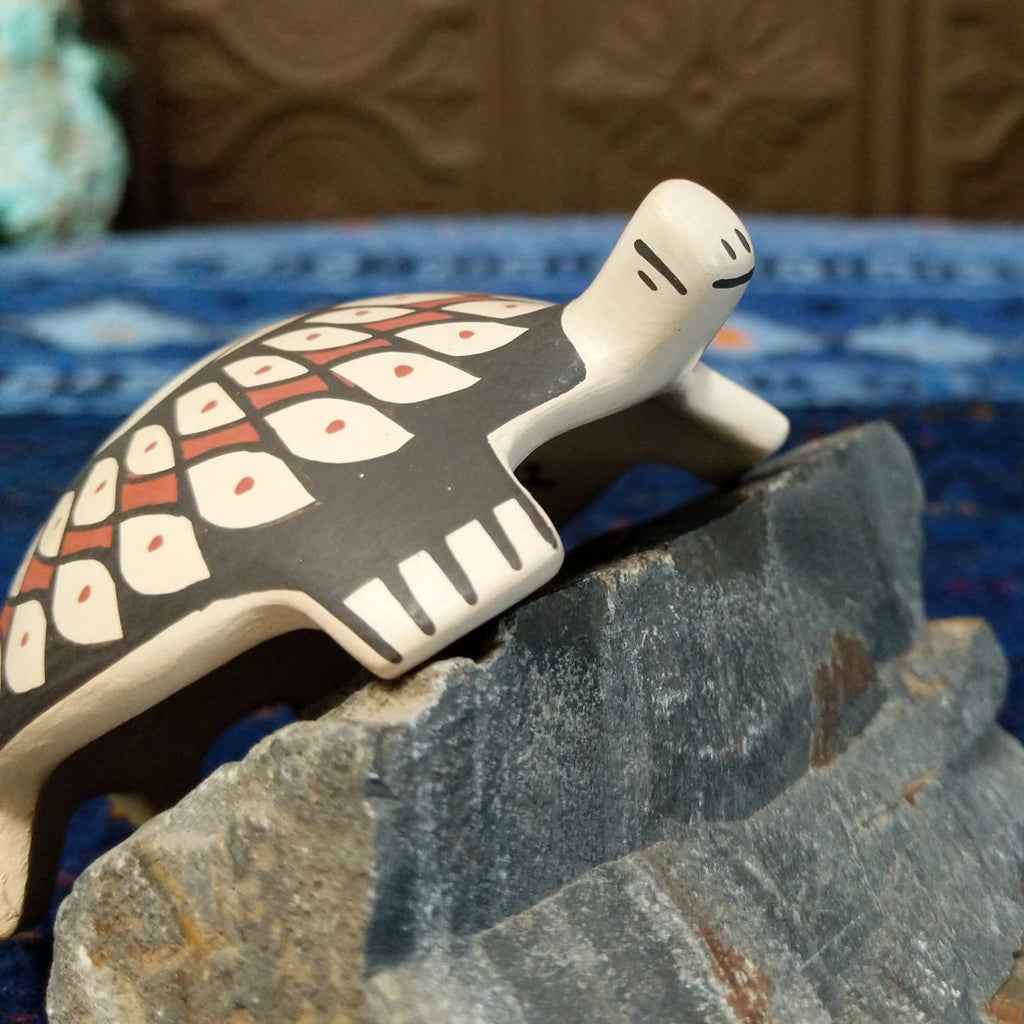 A close-up of the turtle's smiling face.