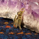 Polished gold coyote pendant.