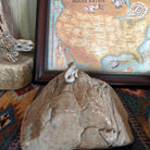 Lizard Zuni Fetish by Bernie Laselute SWT-0104