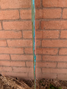 Saguaro Wall Art by PaperAndStone GF-SW79