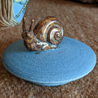 Dragonfly Snail Jar by Bonnie Belt GF-0201