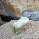 Back View Toad
