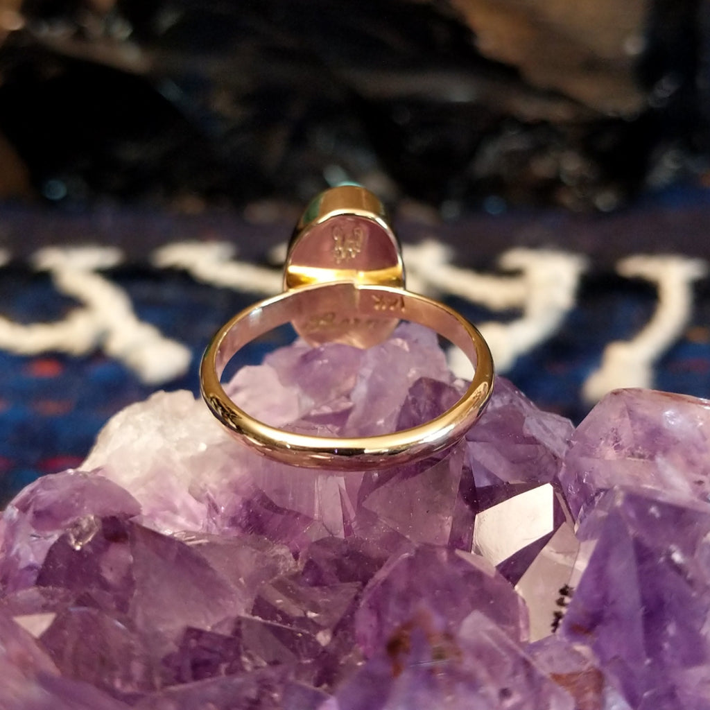 The thin band of the polished gold ring.