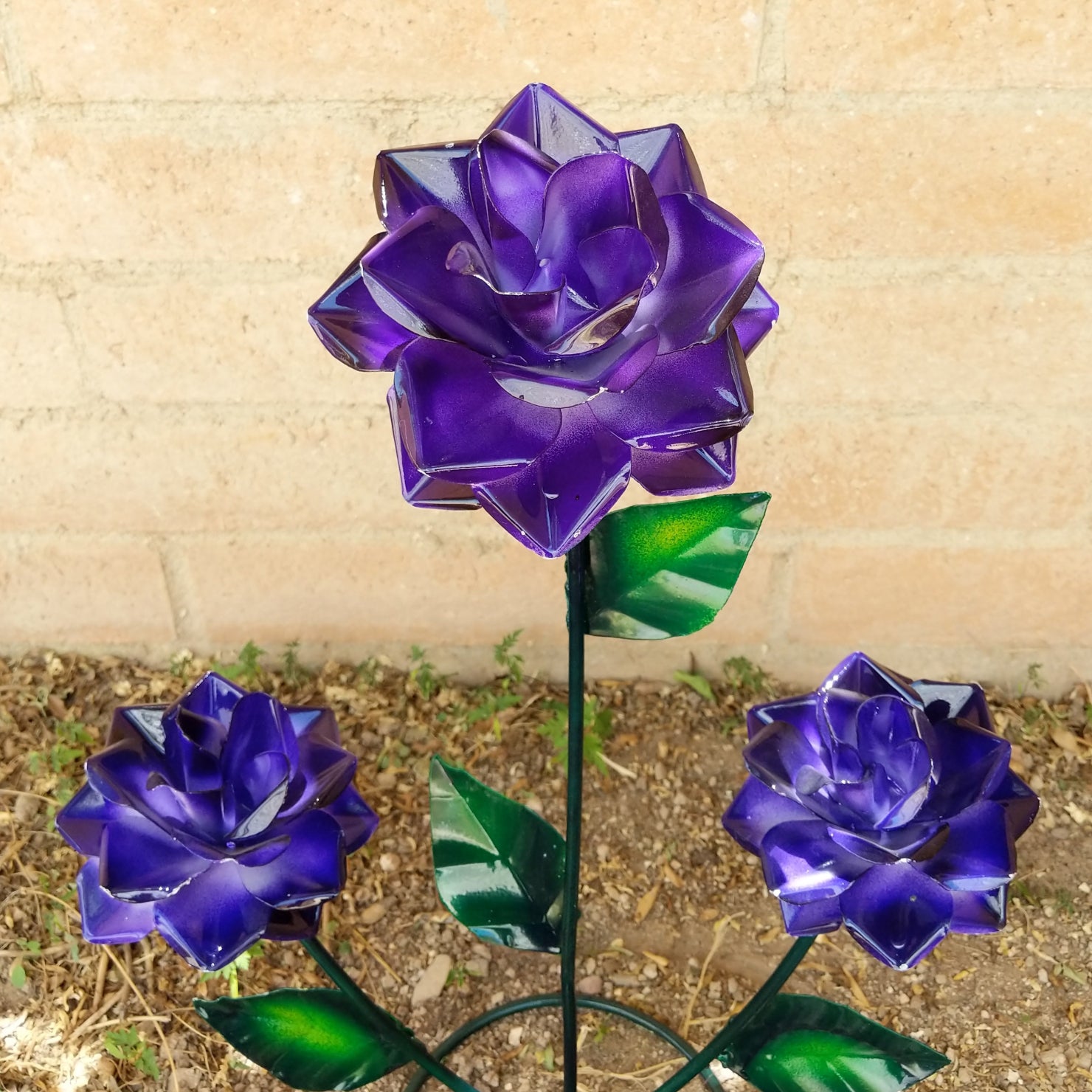 Close-up of the purple roses reveals intricate petal folds and green leaves.