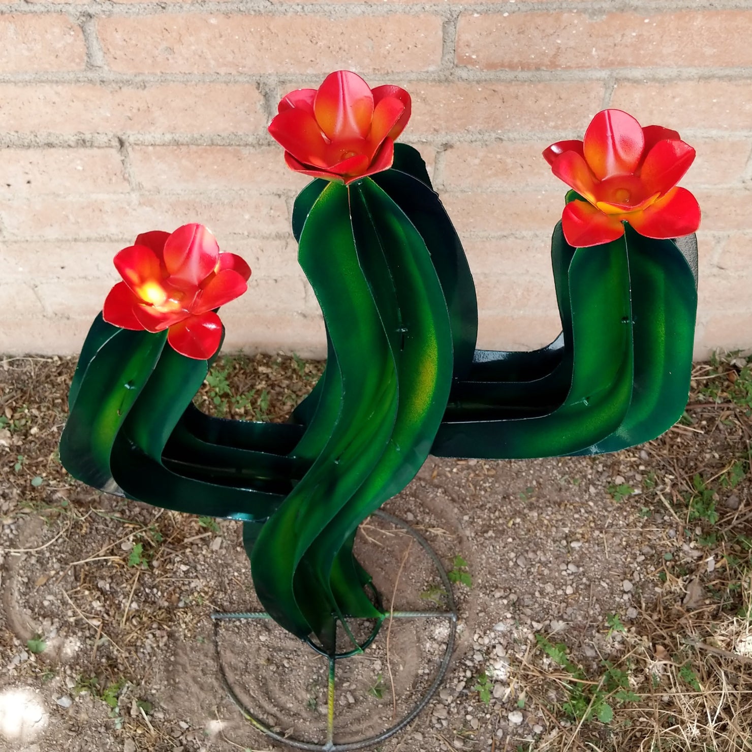 Detailed view of the orangey-red flowers atop the cactus.