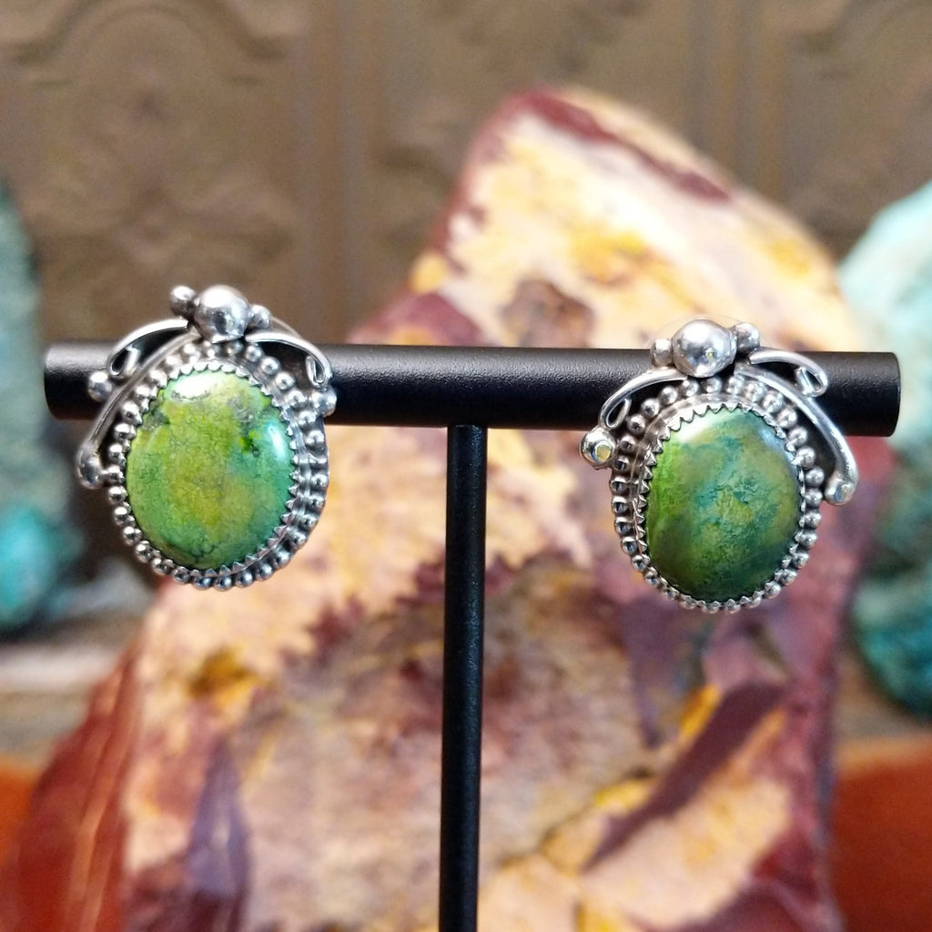 Sonoran gold turquoise earrings framed by sterling silver wreathe bezels.