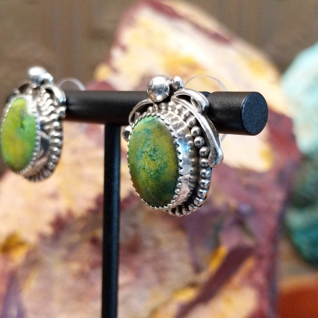 Sonoran gold turquoise earrings framed by sterling silver wreathe bezels.