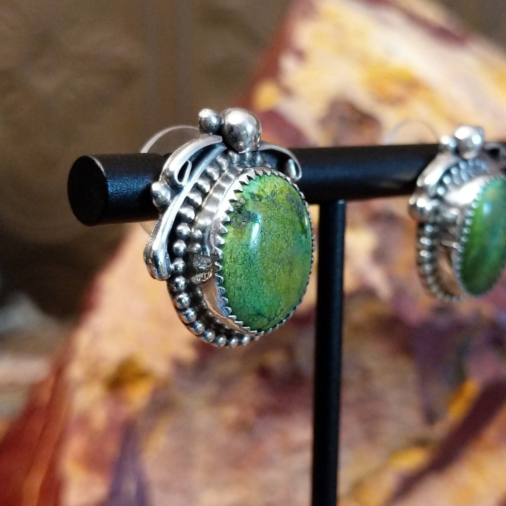 Sonoran gold turquoise earrings framed by sterling silver wreathe bezels.