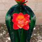 Close-up reveals the orange flowers and intricate detailing along the cactus edges.