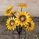 Close-up highlights the textured yellow petals and copper center.