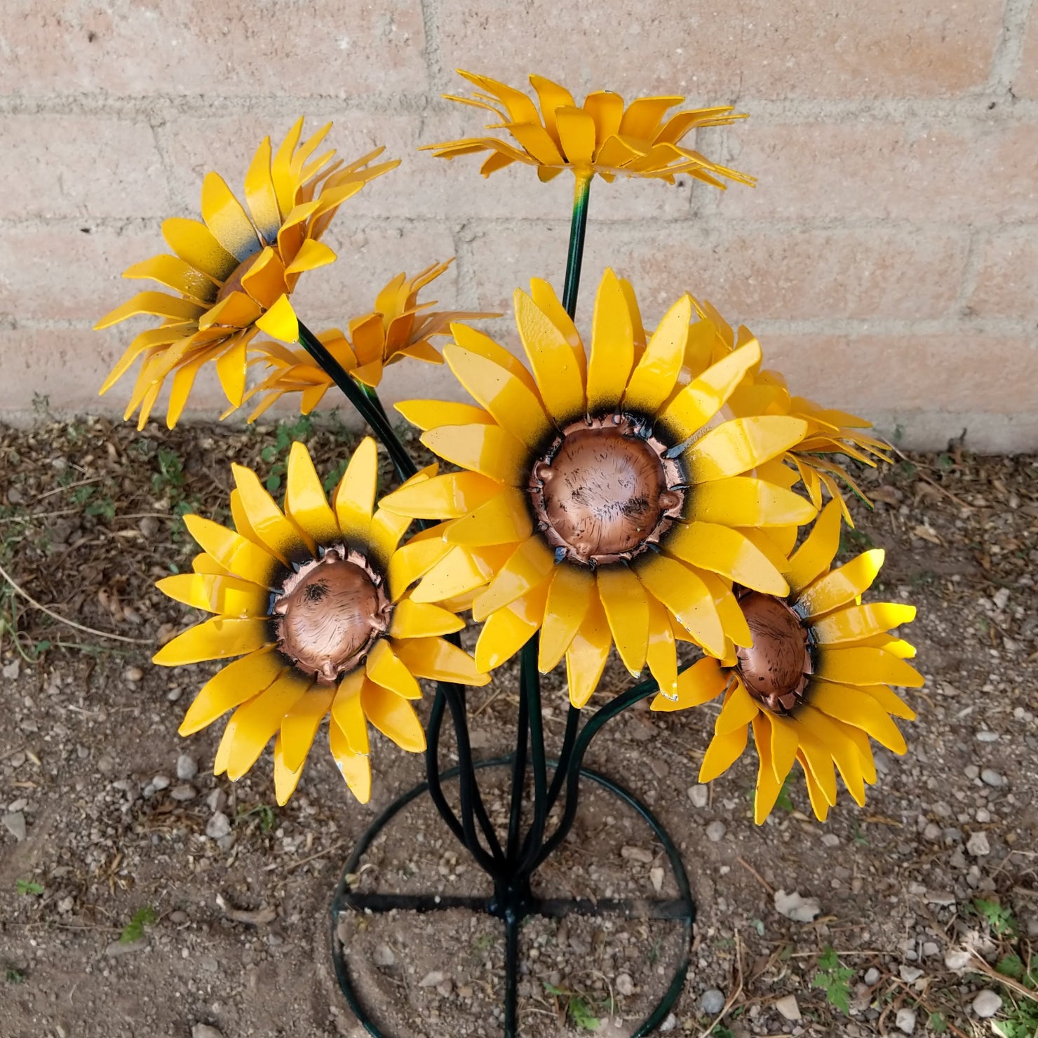 Close-up highlights the textured yellow petals and copper center.