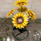 Close-up highlights the textured yellow petals and copper center.