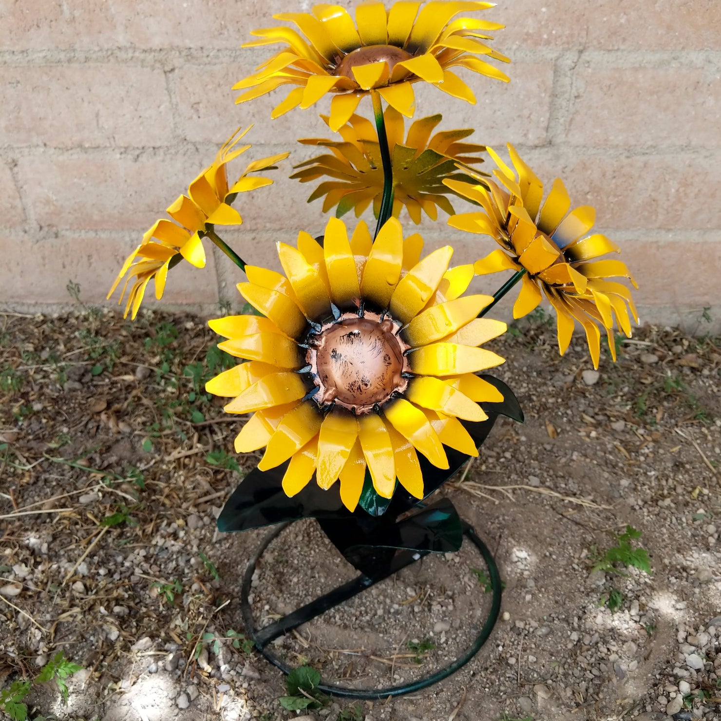 Close-up highlights the textured yellow petals and copper center.