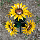 Close-up highlights the textured yellow petals and copper center.