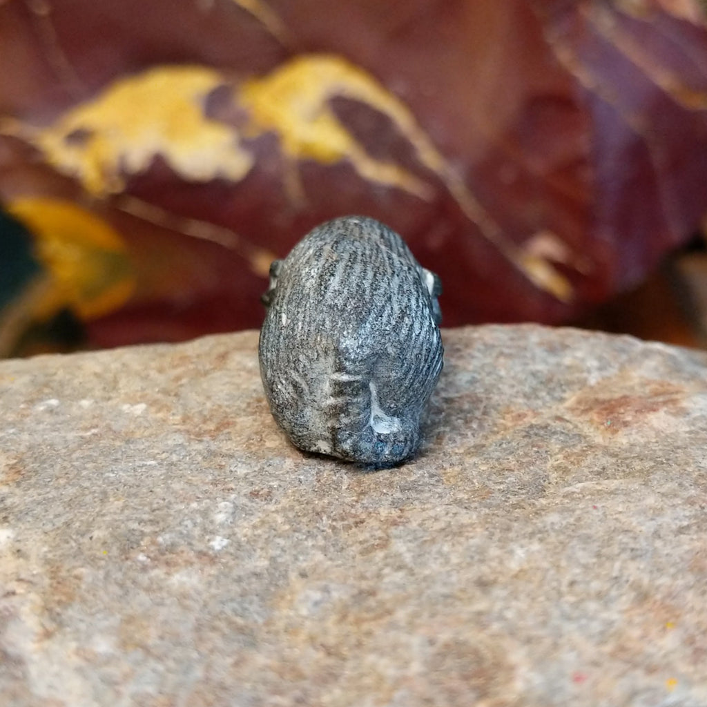 Black marble carved in the shape of a mole.
