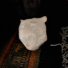 "Savage Spirit" by Kitty Cantrell Face View