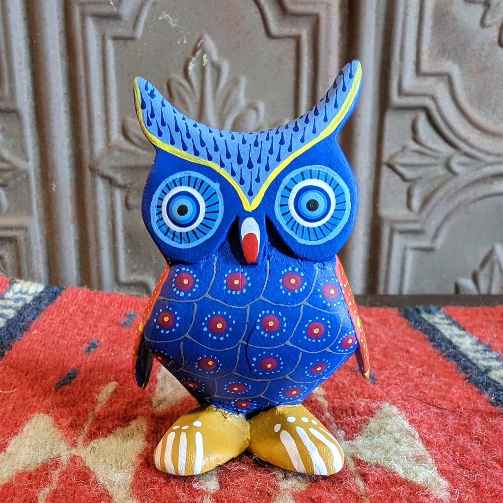 oaxacan owl front view