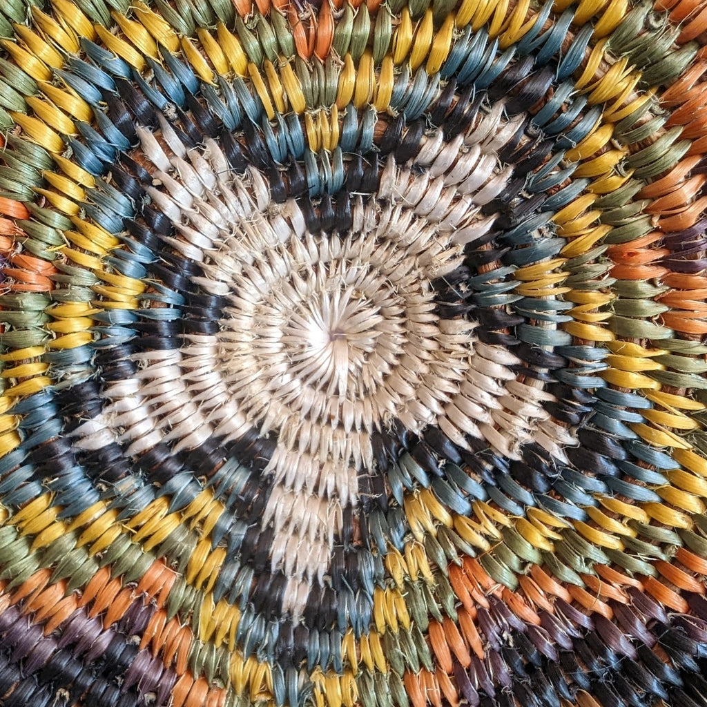 Navajo Handwoven Turtle Basket By Peggy Black Detail View