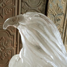valor eagle face close up view