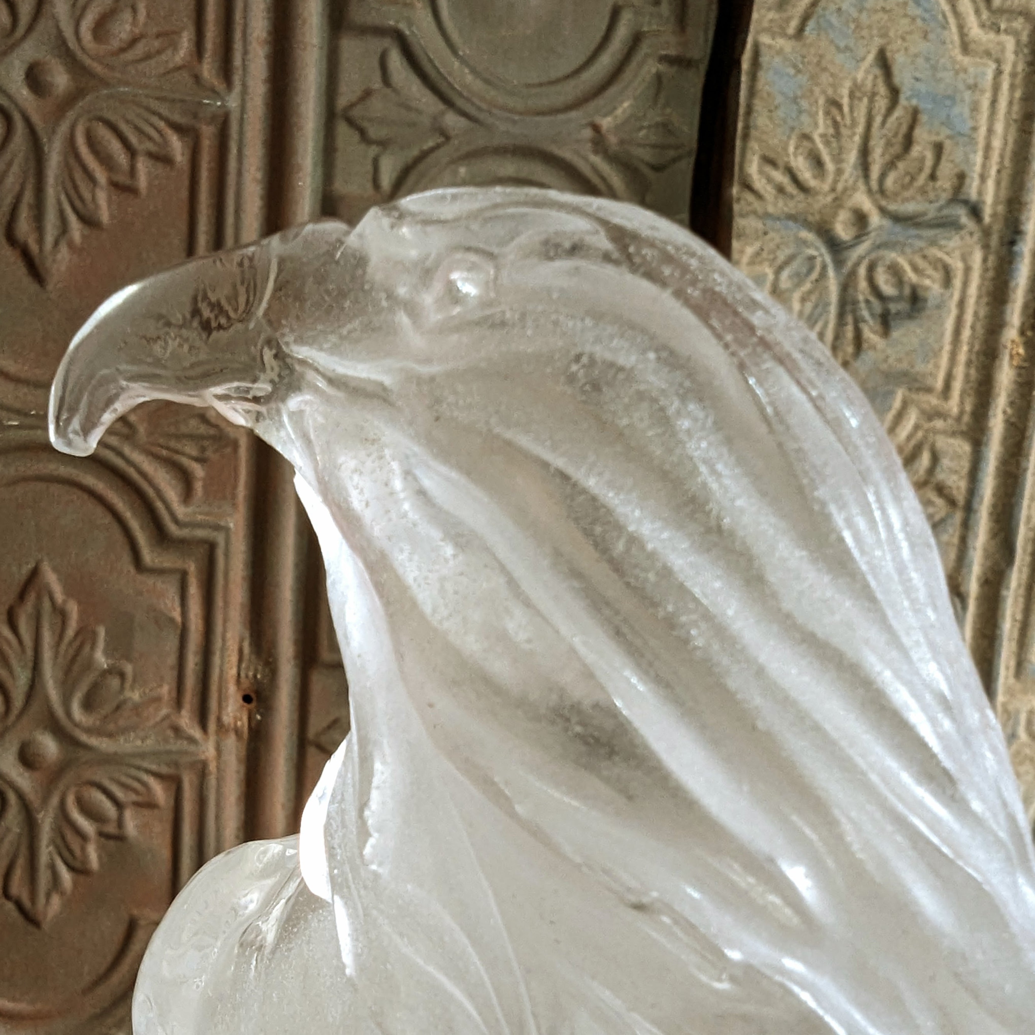 valor eagle face close up view